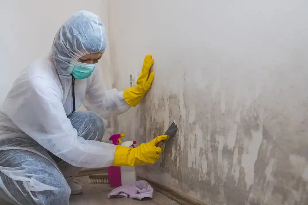 water damage restoration service Vasa
